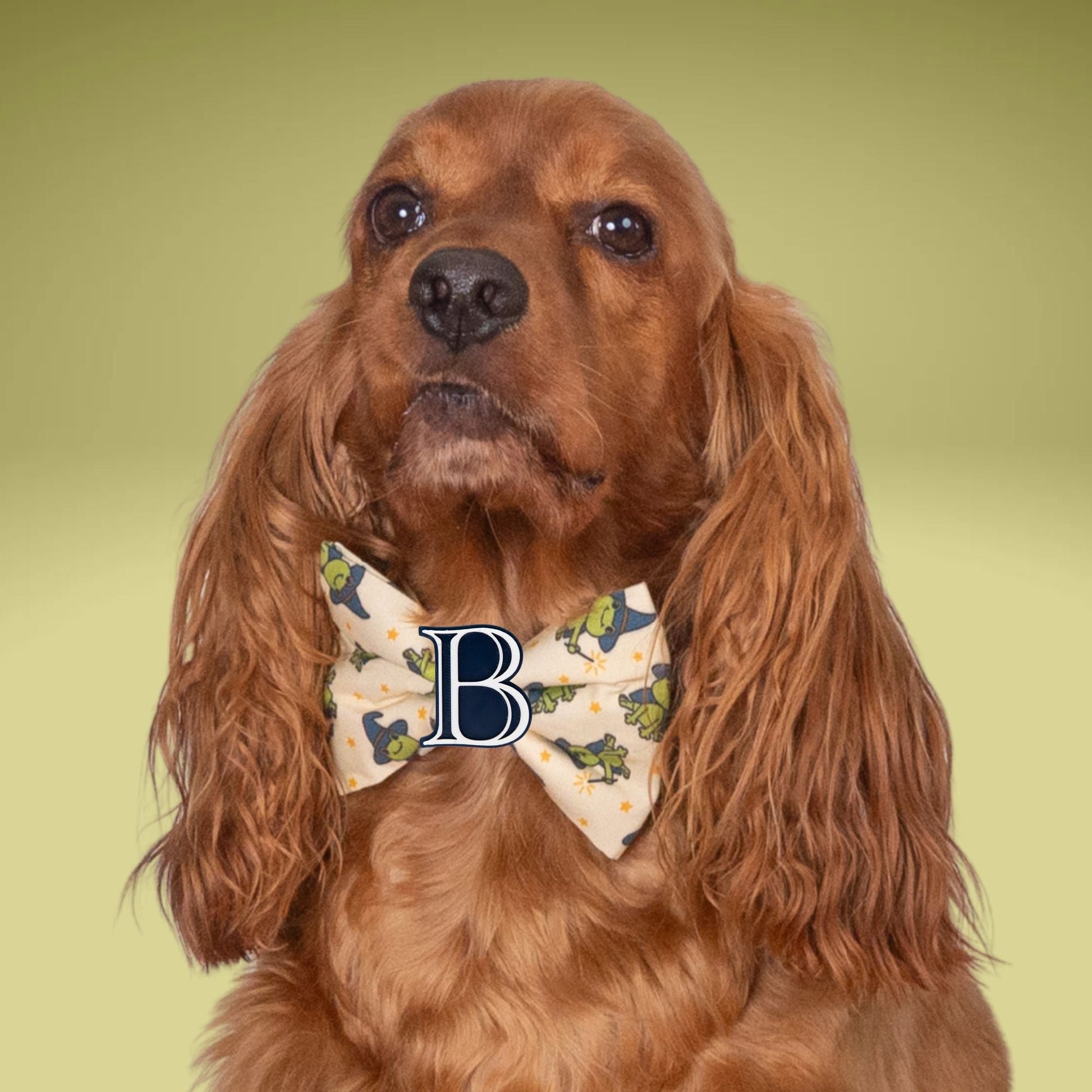 Bowtie Halloween Frog Bowtie with Initial by Life for Pawz – Handmade for pets