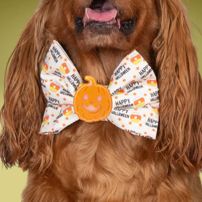Bowtie Happy Halloween Candy Corn Bowtie by Life for Pawz – Handmade for pets