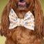 Bowtie Happy Halloween Candy Corn Bowtie by Life for Pawz – Handmade for pets