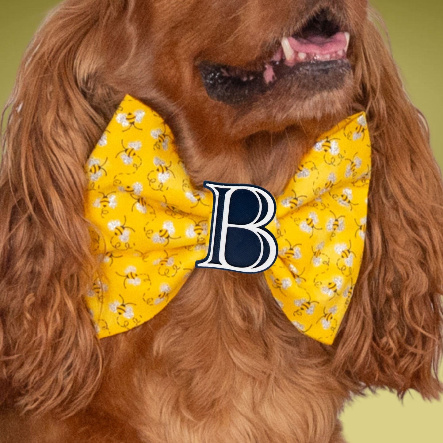 Bowtie Honeybee Bowtie with Initial Topper by Life for Pawz – Handmade for pets