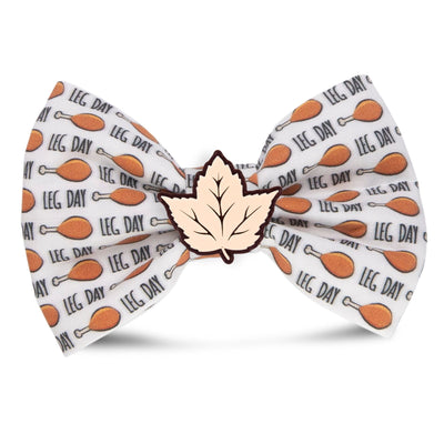Bowtie Leg Day Bowtie by Life for Pawz – Handmade for pets