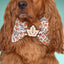 Bowtie Leg Day Bowtie by Life for Pawz – Handmade for pets