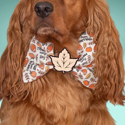 Bowtie Leg Day Bowtie by Life for Pawz – Handmade for pets