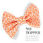 Bowtie Mini Ghost Orange Bowtie by Life for Pawz – Handmade for pets