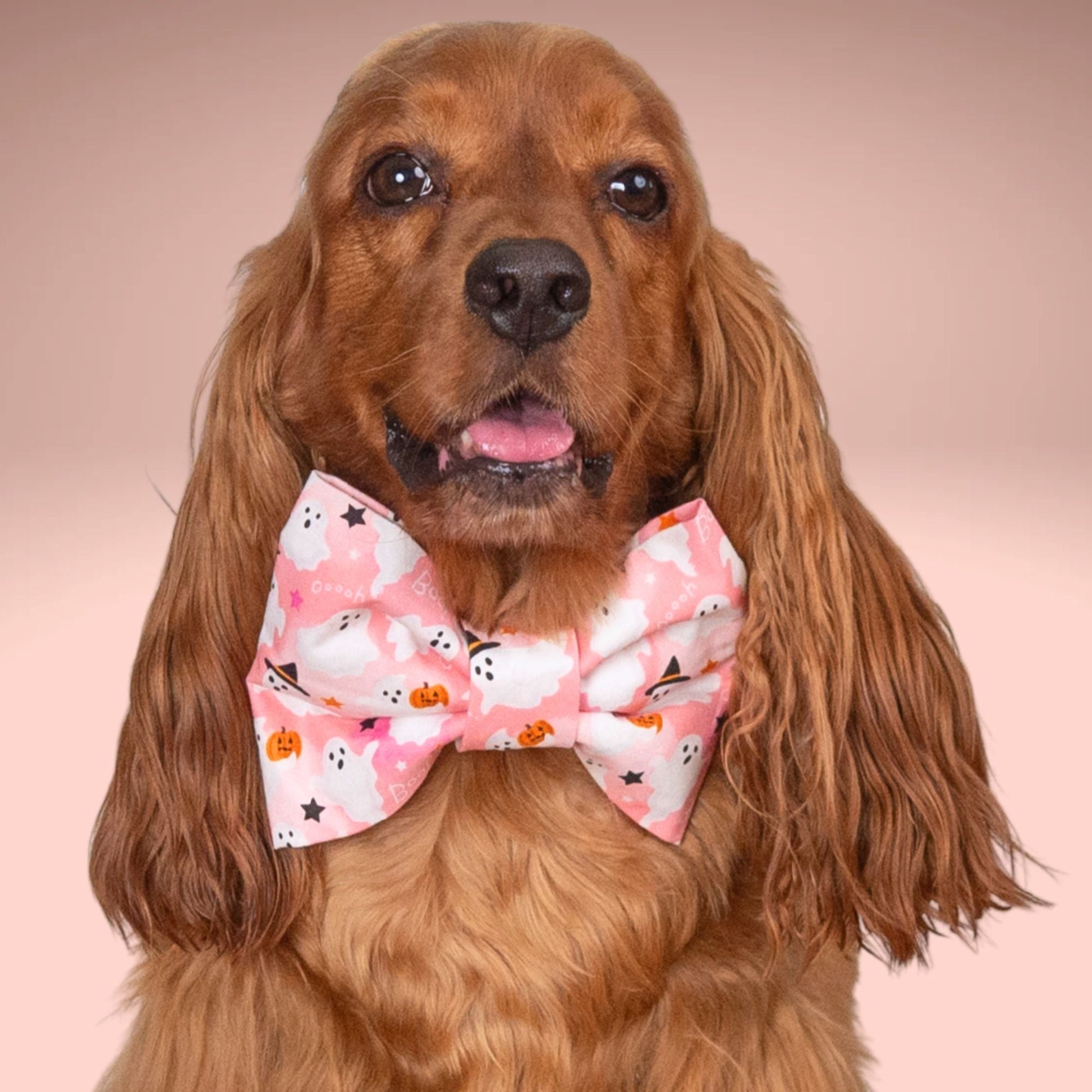 Bowtie Pink Boo Ghost Bowtie by Life for Pawz – Handmade for pets