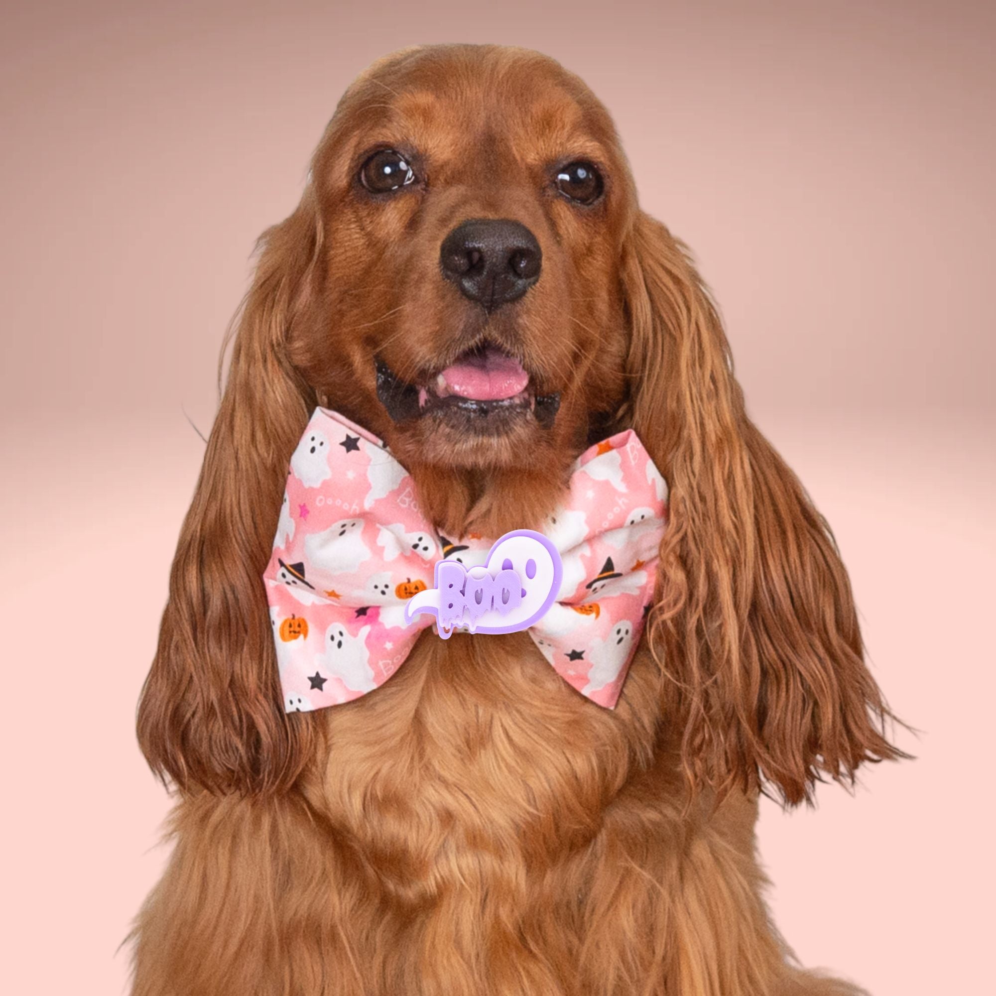 Bowtie Pink Boo Ghost Bowtie by Life for Pawz – Handmade for pets