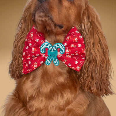 Bowtie Red Christmas Bowtie by Life for Pawz – Handmade for pets