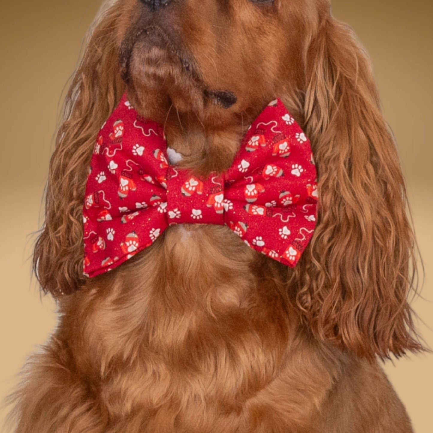 Bowtie Red Christmas Bowtie by Life for Pawz – Handmade for pets