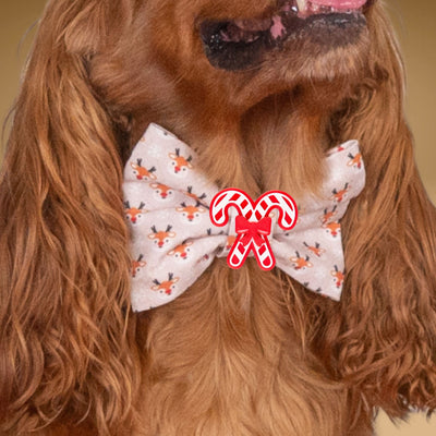 Bowtie Reindeer Holiday Bowtie by Life for Pawz – Handmade for pets