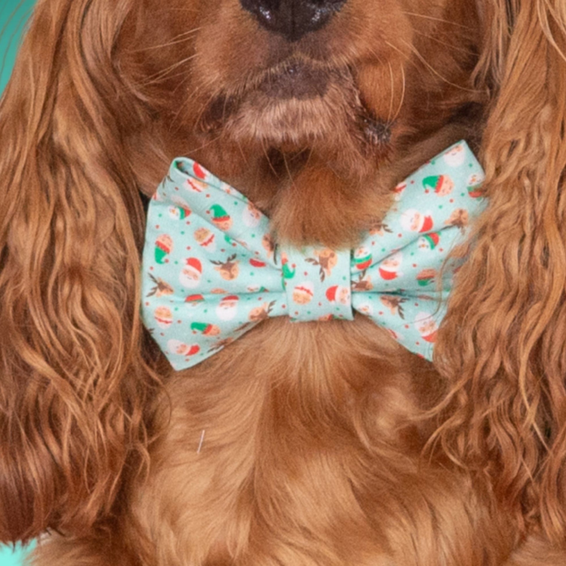 Bowtie Santa & Reindeer Bowtie by Life for Pawz – Handmade for pets