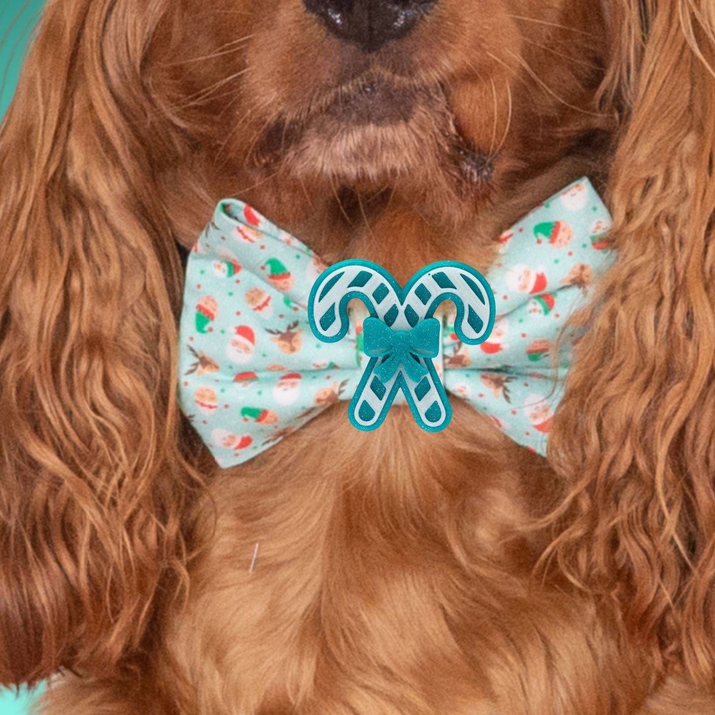 Bowtie Santa & Reindeer Bowtie by Life for Pawz – Handmade for pets