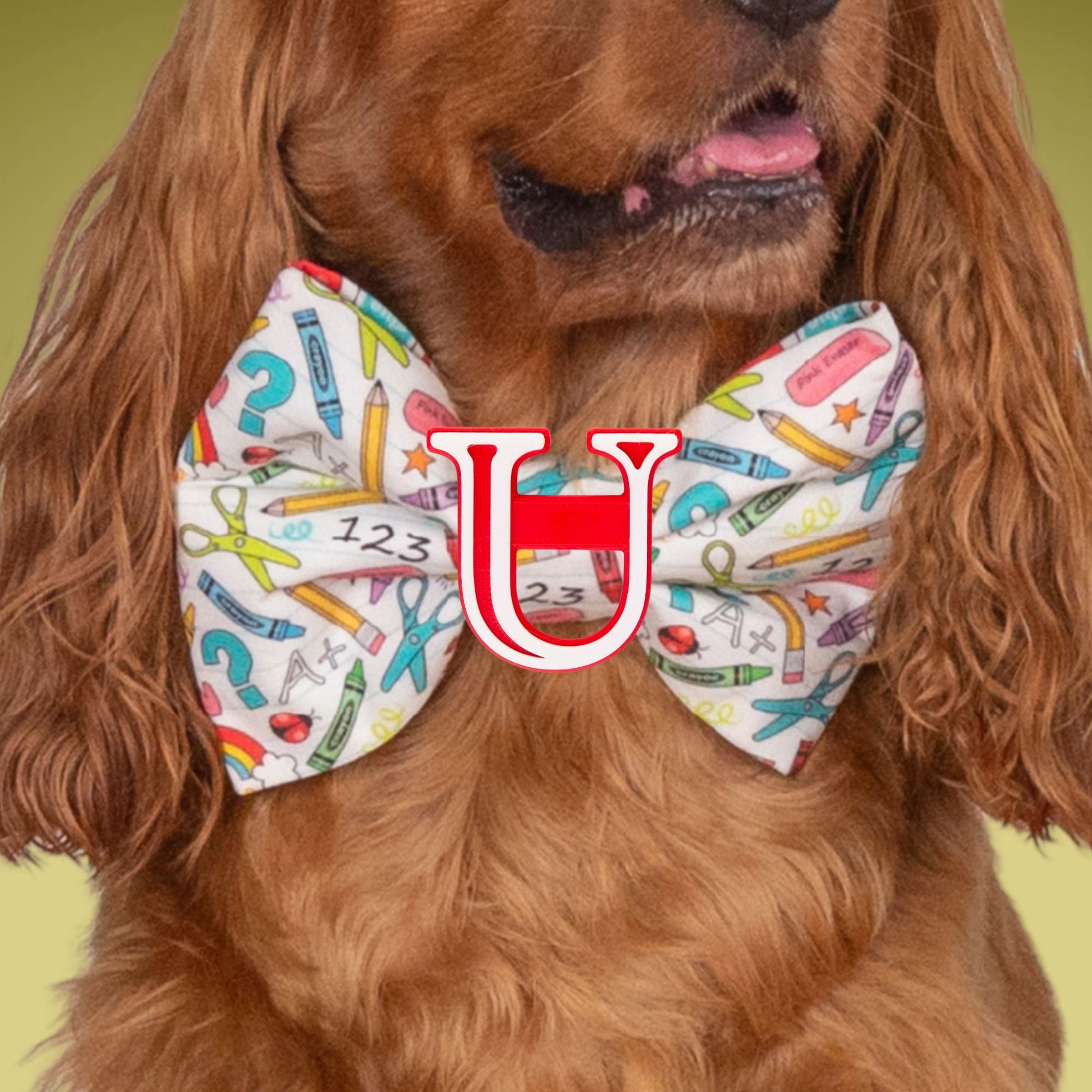 Bowtie School Oversized Bow with Initial by Life for Pawz – Handmade for pets