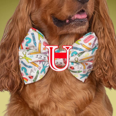Bowtie School Oversized Bow with Initial by Life for Pawz – Handmade for pets