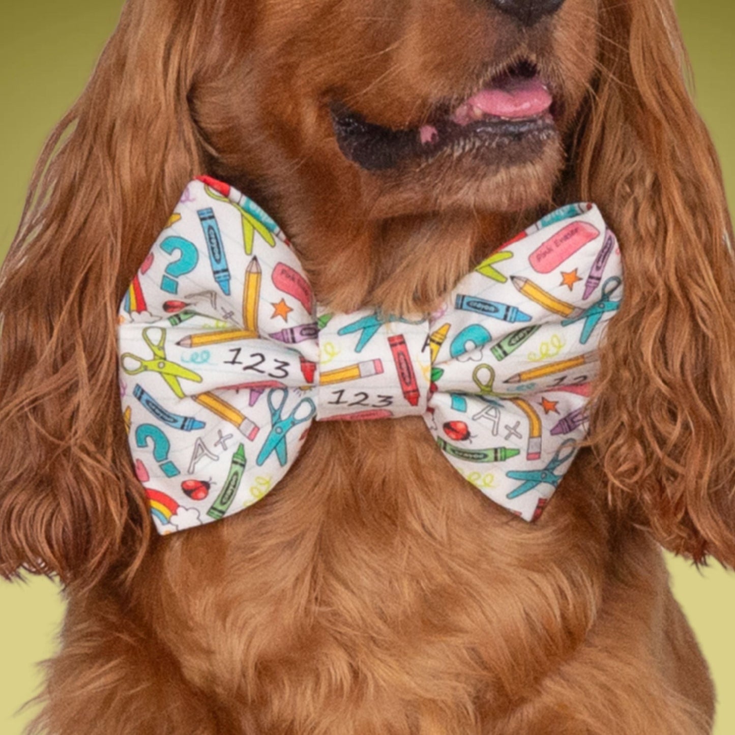 Bowtie School Oversized Bow with Initial by Life for Pawz – Handmade for pets