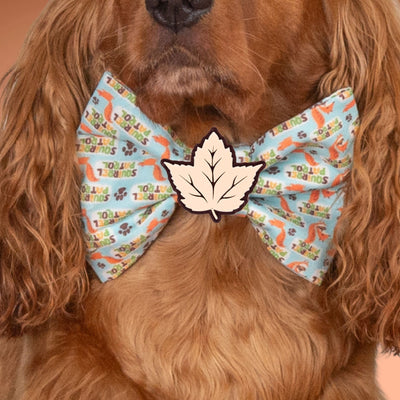 Bowtie Squirrel Patrol Bowtie by Life for Pawz – Handmade for pets