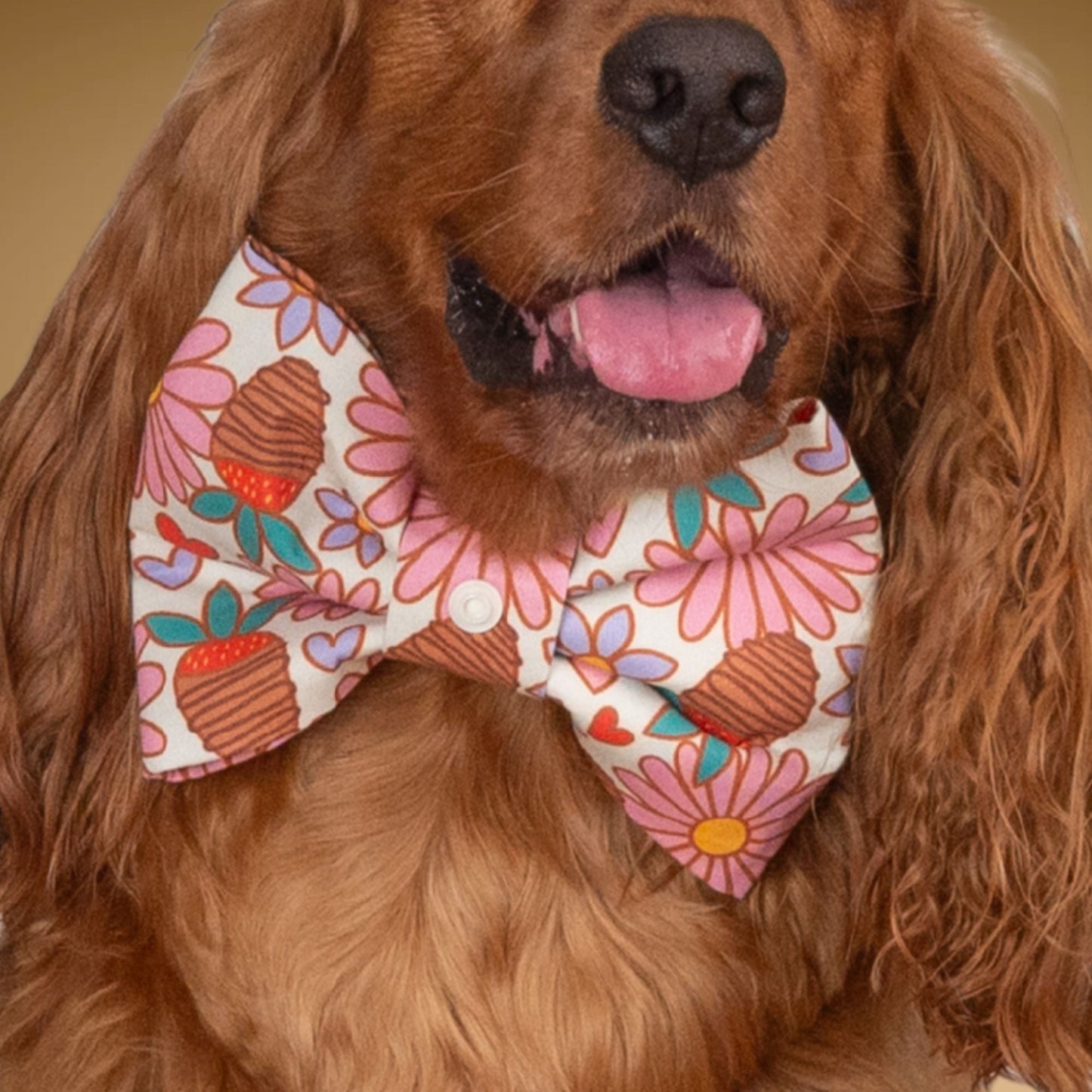 Bowtie Strawberry Daisy Bowtie with Initial by Life for Pawz – Handmade for pets