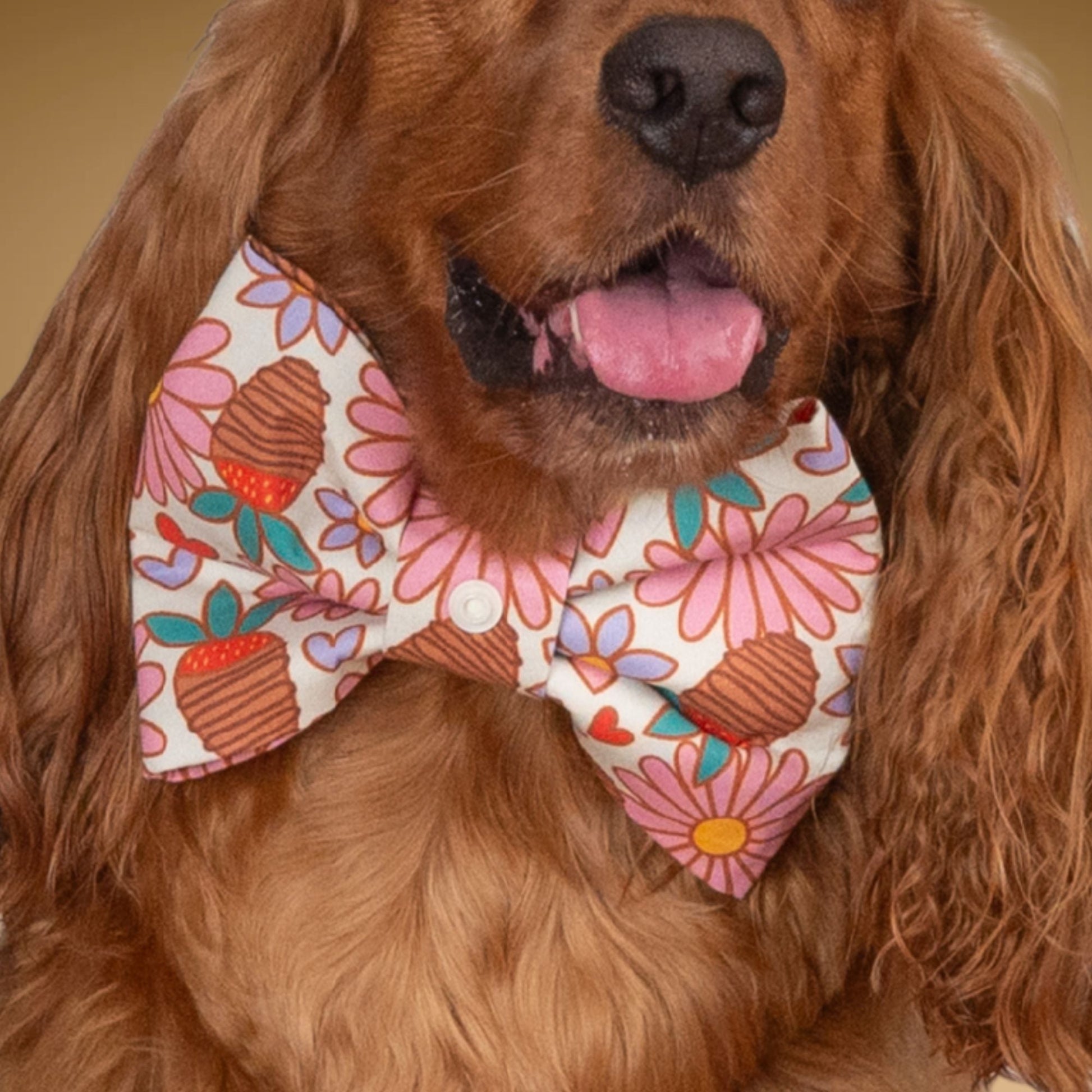 Bowtie Strawberry Daisy Bowtie with Initial by Life for Pawz – Handmade for pets
