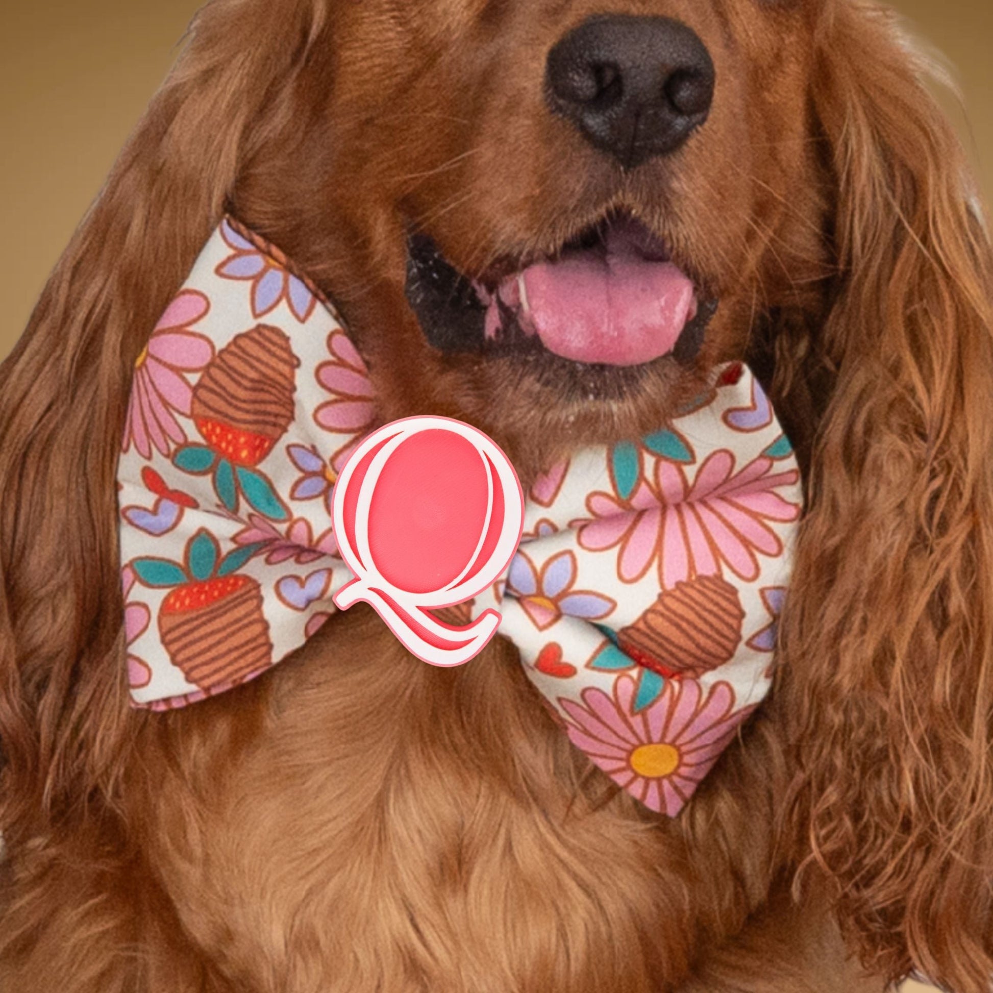 Bowtie Strawberry Daisy Bowtie with Initial by Life for Pawz – Handmade for pets