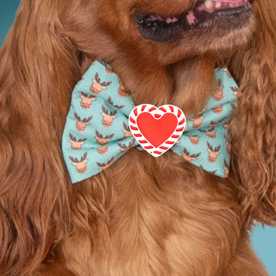 Bowtie Teal Reindeer Bowtie by Life for Pawz – Handmade for pets