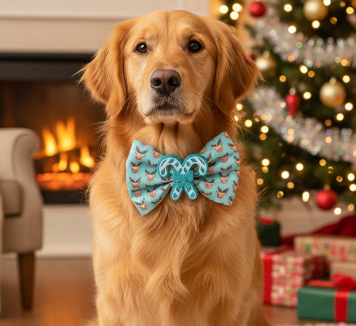 Bowtie Teal Reindeer Bowtie by Life for Pawz – Handmade for pets