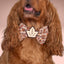 Bowtie Turkey Football Bowtie by Life for Pawz – Handmade for pets