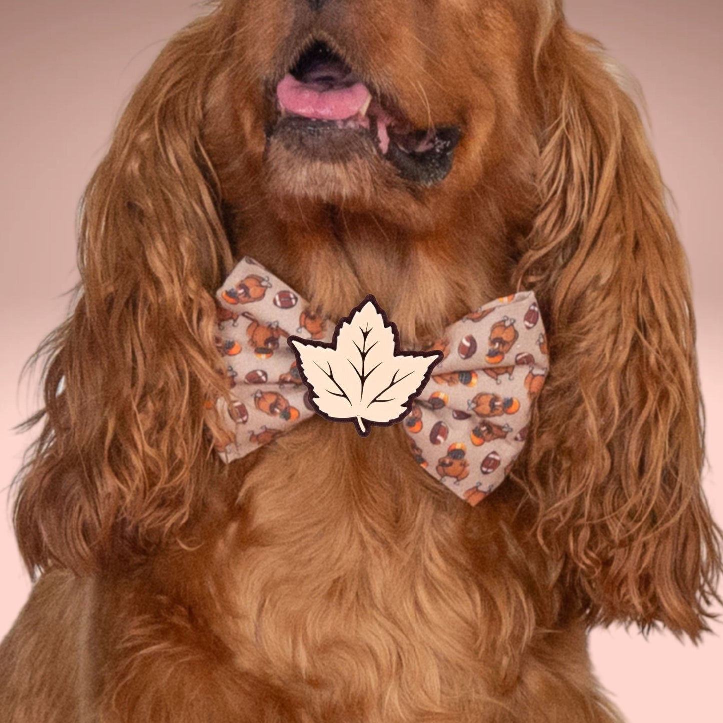 Bowtie Turkey Football Bowtie by Life for Pawz – Handmade for pets