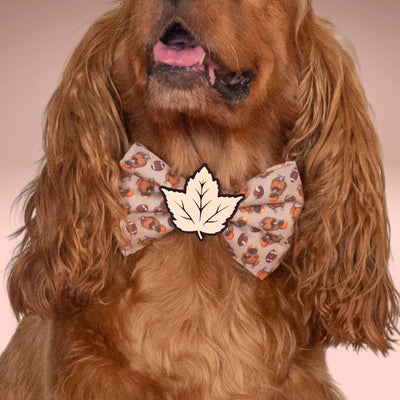 Bowtie Turkey Football Bowtie by Life for Pawz – Handmade for pets