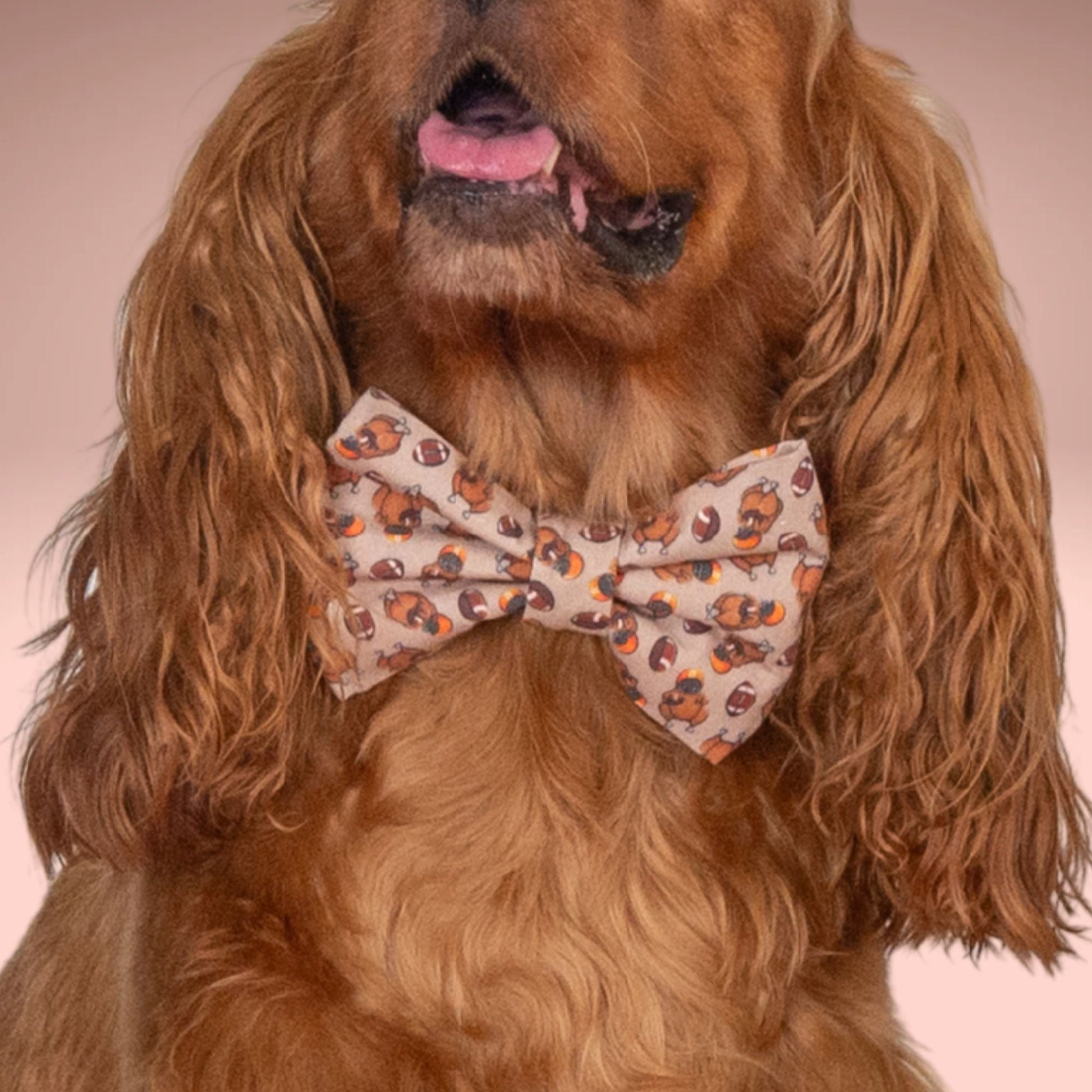 Bowtie Turkey Football Bowtie by Life for Pawz – Handmade for pets