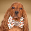 Bowtie Turkey Taster Bowtie by Life for Pawz – Handmade for pets