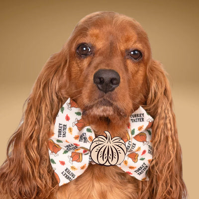 Bowtie Turkey Taster Bowtie by Life for Pawz – Handmade for pets