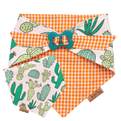 Dog bandana Cactus & Orange Gingham Reversible Dog Bandana with Bone Clasp - Life for Pawz - Bone Clasp