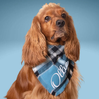 Flannel Bandanas Blue Plaid by Life for Pawz – Handmade for pets