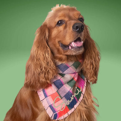 Flannel Bandanas Bright Multicolor Plaid by Life for Pawz – Handmade for pets