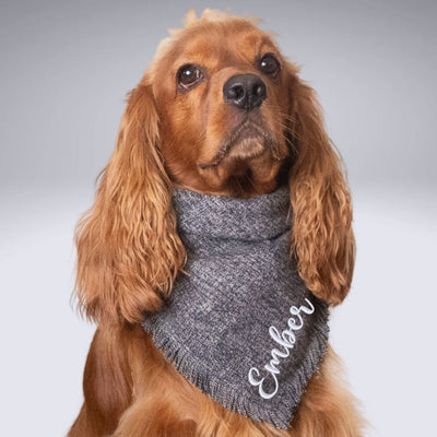Flannel Bandanas Charcoal Gray by Life for Pawz – Handmade for pets