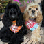 Flannel Bandanas Fall Plaid by Life for Pawz – Handmade for pets