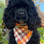 Flannel Bandanas Fall Plaid by Life for Pawz – Handmade for pets