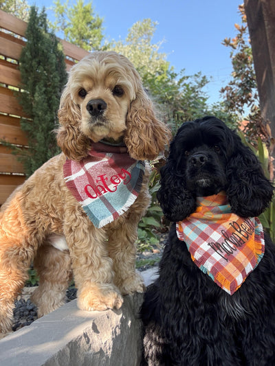 Flannel Bandanas Fall Plaid by Life for Pawz – Handmade for pets