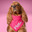 Flannel Bandanas Hot Pink Houndstooth by Life for Pawz – Handmade for pets