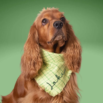 Flannel Bandanas Lime Green Grid by Life for Pawz – Handmade for pets