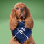 Flannel Bandanas Navy Blue Plaid by Life for Pawz – Handmade for pets
