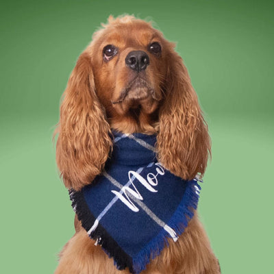 Flannel Bandanas Navy Blue Plaid by Life for Pawz – Handmade for pets