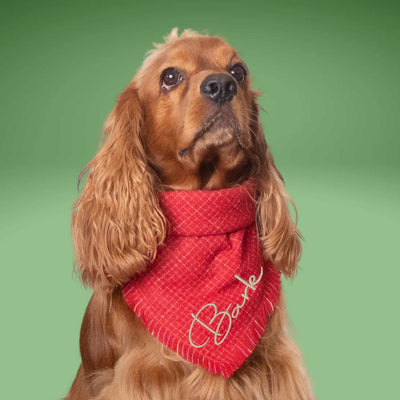 Flannel Bandanas Red & Gold Sparkle by Life for Pawz – Handmade for pets