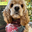 Flannel Bandanas Teal & Rust Plaid by Life for Pawz – Handmade for pets