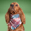 Flannel Bandanas Teal & Rust Plaid by Life for Pawz – Handmade for pets