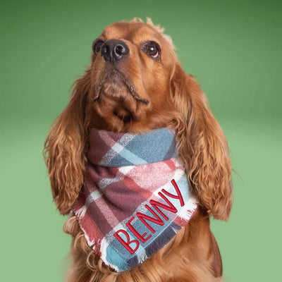 Flannel Bandanas Teal & Rust Plaid by Life for Pawz – Handmade for pets