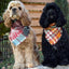 Flannel Bandanas Teal & Rust Plaid by Life for Pawz – Handmade for pets
