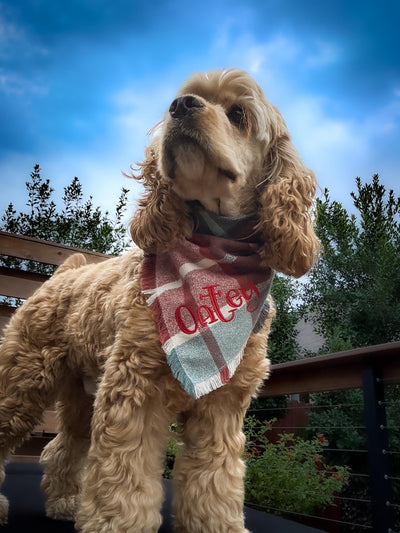 Flannel Bandanas Teal & Rust Plaid by Life for Pawz – Handmade for pets