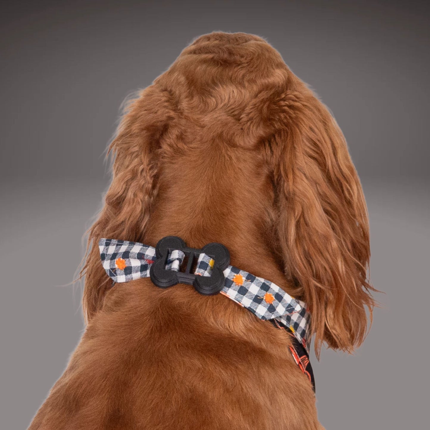 Pumpkin Patch by Life for Pawz – Handmade for pets