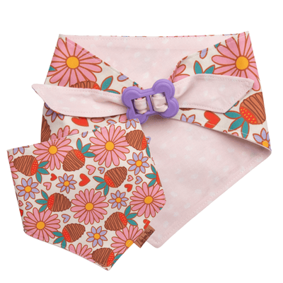 Dog bandana Reversible Chocolate Strawberry Dog Bandana - Life for Pawz - Bone Clasp