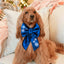 Sailor Bow Blue Velvet Dog Snowflake Sailor Bow by Life for Pawz – Handmade for pets